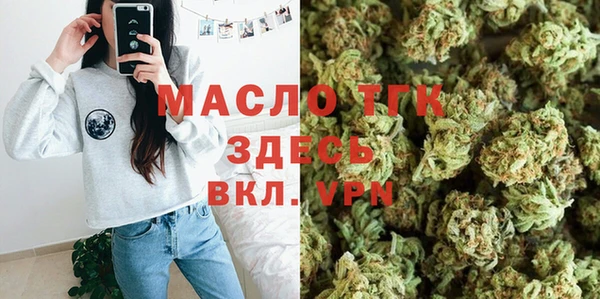 2c-b Ельня