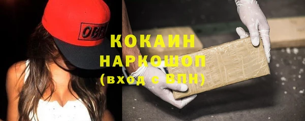2c-b Ельня