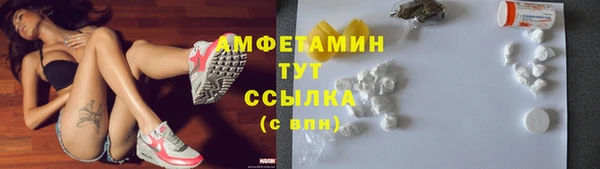 2c-b Ельня