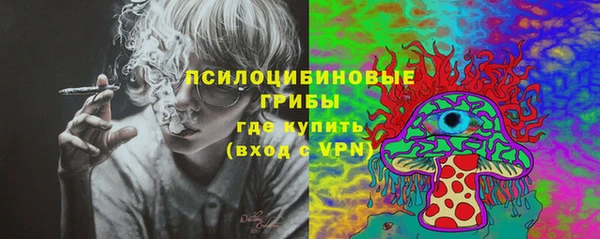 2c-b Ельня