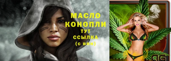 2c-b Ельня