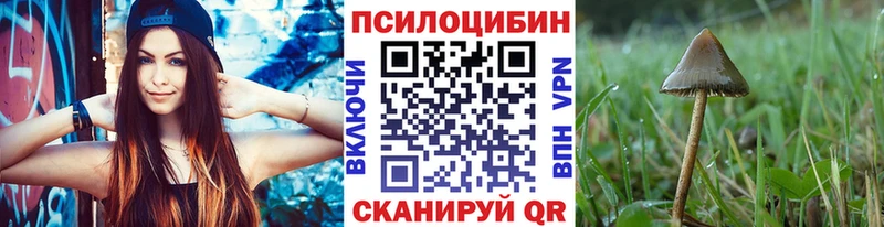 Псилоцибиновые грибы Psilocybine cubensis  Купить закладки  Гай 